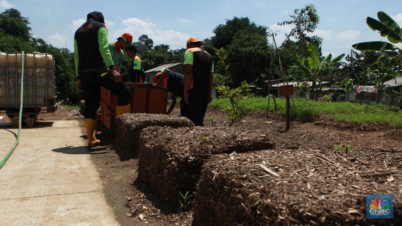 Petugas memilah sampah yang akan dijadikan pupuk kompos di Saringan Sampah TB Simatupang, Jakarta, Jumat (12/1/2024). Petugas memilah sampah yang akan dijadikan pupuk kompos di Saringan Sampah TB Simatupang, Jakarta, Jumat (12/1/2024). (CNBC Indonesia/Muhammad Sabki)