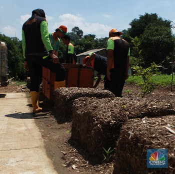 Intip Sampah Kali Ciliwung Disulap Jadi Pupuk & Bahan Bakar