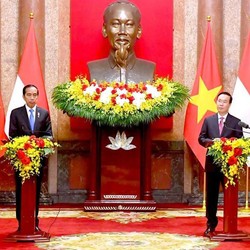 Jokowi Temui Vo Van Thuong, RI-Vietnam Kerja Sama Pangan & EV
