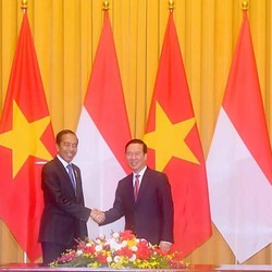 RI-Vietnam Sepakat Kejar Target Dagang Rp233 T