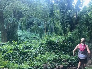 Seram! Viral Video Pelari Papasan dengan Hantu di Hutan