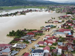 73% Kawasan Hutan Hilang Sebabkan Bencana Banjir Besar di Jambi