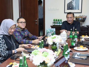 MenPAN-RB Rapat Bareng Luhut, Bahas Transformasi Digital Pemerintahan