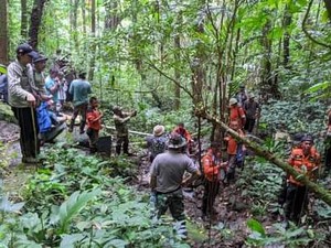 Pria Paruh Baya di Tomohon Sudah 7 Hari Hilang di Hutan Pinus Lahendong