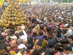 Festival Durian Pekalongan Ricuh, Pagar Pembatas Jebol-Warga Pingsan