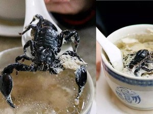 Ekstrem! 5 Makanan Enak dan Populer Ini Pakai Topping Kalajengking