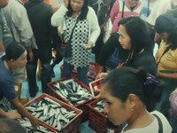 Ini yang Terjadi di Tubuh Jika Konsumsi Ikan Tinggi Merkuri