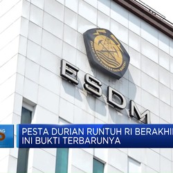 Video: Pesta Durian Runtuh RI Berakhir, Ini Bukti Terbarunya
