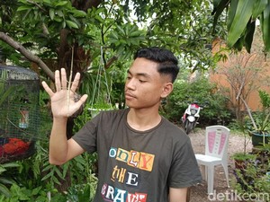 Kisah Davis, Siswa SMA Penemu Serangga Jenis Baru di Kupang