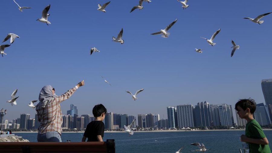 Dengan latar belakang cakrawala kota, seorang wanita memberi makan keripik kentang kepada burung camar di Abu Dhabi, Uni Emirat Arab, Kamis, 10 Februari 2022. (AP Photo/Hassan Ammar/File Foto)