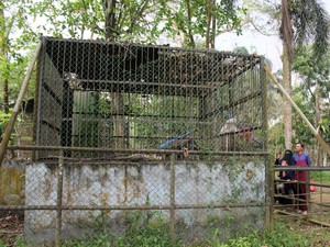 Bisa-bisanya Pengelolaan Hewan di Medan Zoo Kacau dan Diabaikan Begitu Lama