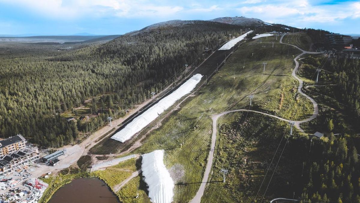 Petaka Data Center Google di Finlandia: Hutan Hancur, Serigala Masuk Desa — NadiKabar.com