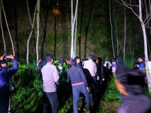 Kakek di Klaten Terjun ke Jurang, Selamat karena Nyangkut di Pohon