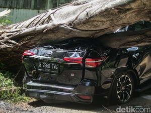 Fortuner Tertimpa Pohon di Depan Rumah Prabowo, Bagian Belakang Ringsek