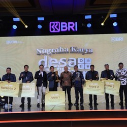 Kembangkan Potensi Desa BRILiaN, BRI Dapat Apresiasi