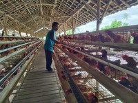 Hampir Bangkrut, BRI Klaster Hidupku Bawa Usaha Ini Bangkit