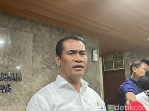 Bukan Cuma El Nino, Mentan Ungkap Biang Kerok Produksi Padi RI Turun