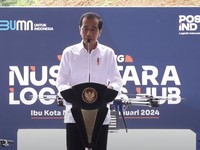 Jokowi Resmikan Pembangunan Nusantara Logistic Hub and Services di IKN
