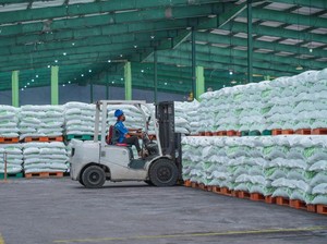 Pusri Pastikan Stok Pupuk Subsidi Aman, Kebutuhan Petani Terpenuhi