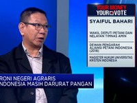 Video: Soal Nasib Food Estate, Ini Kata Tim Amin, Prabowo, Ganjar