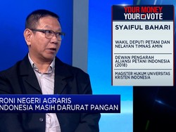 Video: Soal Nasib Food Estate, Ini Kata Tim Amin, Prabowo, Ganjar