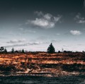 RI Kerap Dikritik Suka Babat Hutan, Ini Faktanya