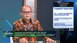 Video: Ekonomi Global Melambat & Perang Ancam Ekspor CPO, RI Bisa Apa?
