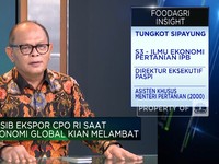 Video: Ekonomi Global Melambat & Perang Ancam Ekspor CPO, RI Bisa Apa?