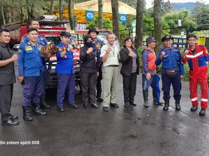 Pilu! Bocah 3 Tahun di Puncak Tewas Diserang Tawon Vespa