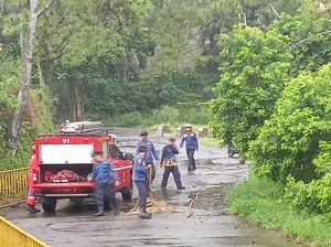 Bocah 3 Tahun Ini Tewas Disengat Tawon, Begini Kronologinya