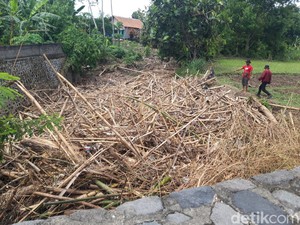 Terbawa Banjir, Sampah Bambu Menumpuk di Sungai Dukuh Kauman Boyolali