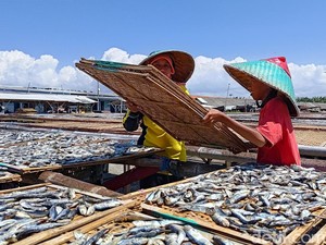 Banyuwangi Punya Strategi Atasi Harga Ikan Anjlok