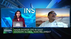 Uni Eropa Jegal Ekspor CPO RI, Pemerintah & Pengusaha Siap Hadapi!