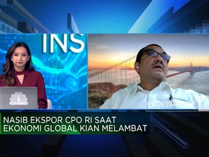Uni Eropa Jegal Ekspor CPO RI, Pemerintah & Pengusaha Siap Hadapi!