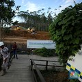 Gawat! Kaltim Berstatus Waspada Rawan Pangan, Nasib IKN Gimana?