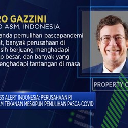 Video: Konsultan Strategi Global Ungkap Perusahaan RI Masih Tertekan