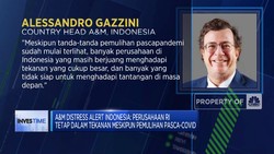 Video: Konsultan Strategi Global Ungkap Perusahaan RI Masih Tertekan