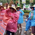 Syarat Tebus Pupuk Subsidi Hanya dengan KTP, Petani Ungkap Faktanya..