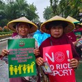Petani Teriak ke Kementan: Musim Panen, Harga Gabah Anjlok!