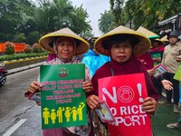 Petani Teriak ke Kementan: Musim Panen, Harga Gabah Anjlok!
