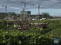 Nah! Ini Bocoran Skenario Perpindahan PNS ke IKN