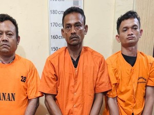 Komplotan Pengedar di Langkat Ditangkap, 32 Kg Ganja Kering Disita