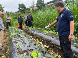 Geger! Mayat Pria Bertato Kelelawar Tergeletak di Perkebunan Warga