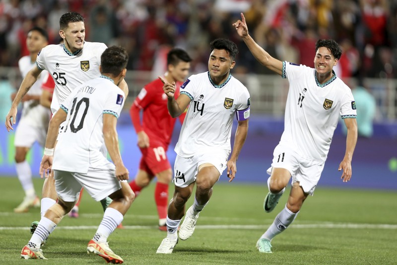 Fans watch the Asian Cup Group D soccer match between Vietnam and Indonesia at Abdullah Bin Khalifa Stadium in Doha, Qatar, Friday, Jan. 19, 2024. (AP Photo/Hussein Sayed)