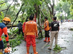 Hujan Angin-Pohon Tumbang Landa Kudus, 5 Bangunan Rusak