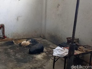 Pengakuan Agus 25 Tahun Jadi Jagal Anjing di Solo