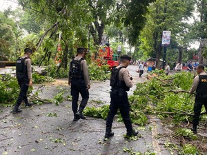 Hujan Angin di Kudus, Pohon Tumbang Tutup Jalan Dawe-Gebog