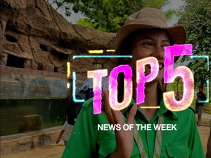 Top 5: Penyebar Video Syur Mirip Rebecca Divonis 3 Tahun Penjara-Pajak Hiburan Naik 40%