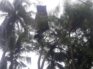 19 Rumah-1 Puskesmas di Flores Timur Rusak Diterjang Angin Puting Beliung