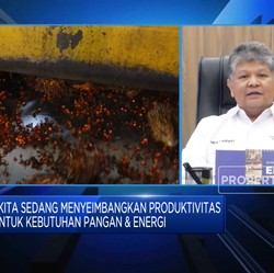Video: Butuh 15,32 Juta Kiloliter CPO Untuk Program B40, Pasokan Aman?